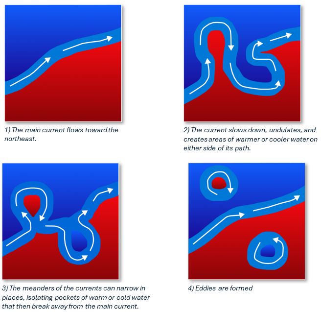 Maximize Your Fishing Success by Understanding Ocean Currents